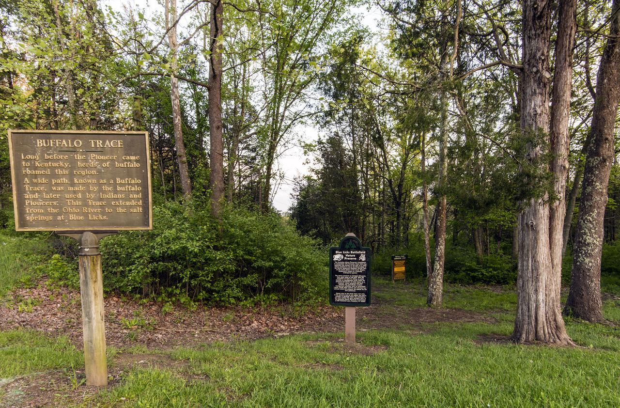 Отель Blue Licks Battlefield State Park Carlisle Экстерьер фото